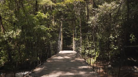 Walking-on-a-suspension-wooden-bridge-across-a-rainforest-amazon-jungle,-Brazil