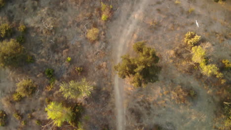 Luftaufnahme-Eines-Weges-Durch-Trockene-Wüstentiere-An-Einem-Sonnigen-Tag