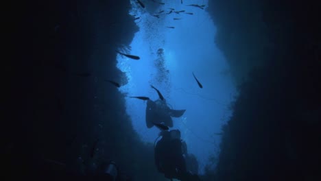camera-films-from-inside-an-submerged-cave-where-divers-are-diving-into