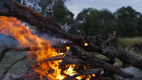 Campfire-after-sunset-on-a-campsite-in-Ol-Pejeta,-Kenya