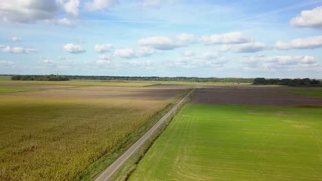 Fly-over-the-field-with-road-view-drone-footage
