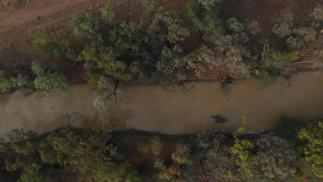 Kleiner-Fluss-Im-Outback-Shooting-Mit-Einer-Drohnenansicht-Von-Oben-Nach-Unten