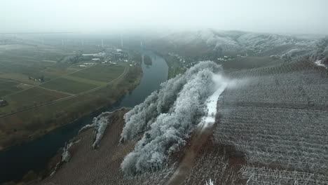 Flying-over-a-vineyard-in-winter-conditions-with-lots-of-wind-blowing-snow-over-the-vineyard