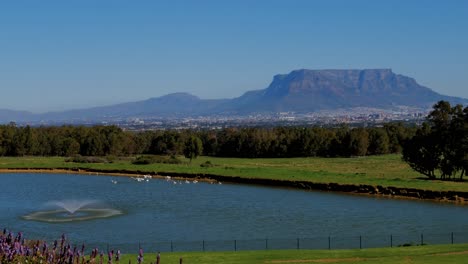 Distant-view-of-majestic-Table-Mountain-and-Cape-Town,-with-a-dam-and-fountain-spraying-water-in-the-foreground