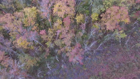 Aerial-Footage-of-fall-colors