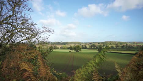 Still-Autumnal-rural-view-over-green-land-in-Herefordshire