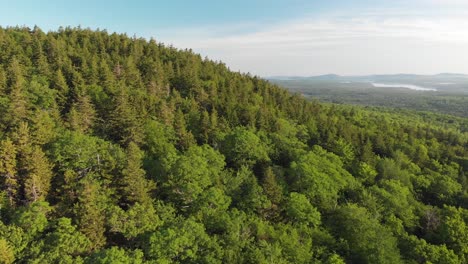 Aerial-drone-shot-of-a-forest-in-Maine-United-States-of-America
