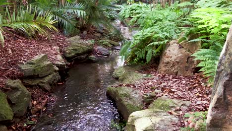 Rapidly-flowing-small-freshwater-creek
