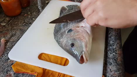 male-man-preparing-raw-fish-4k-uhd-footage