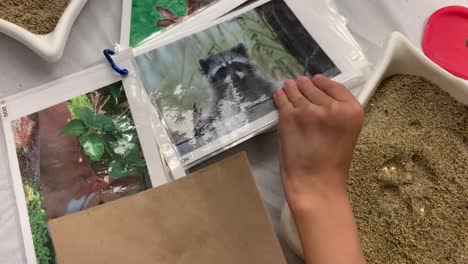 Boy-matching-paw-print-to-photos-of-different-animals-at-a-Science-Night-event-at-school
