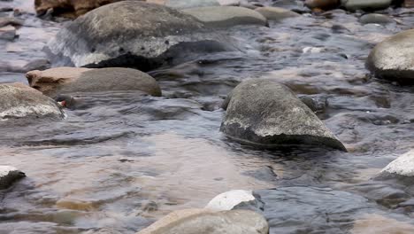Flusswasser,-Das-über-Felsen-Fließt-Und-Zurück-Ins-Nahegelegene-Meer-Fließt