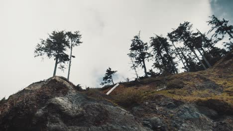 Trees-on-mountaintop-landscape-Oregon