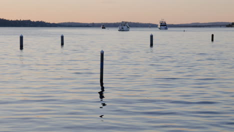 Handheld-shot-of-peaceful-Seward-Park-lake-in-Seattle-at-sunset-with-medium-sized-boats-in-the-background