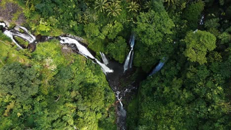 Bali-Fidschi-Wasserfall-In-Der-Grünen,-Lebendigen-Regenwaldantenne