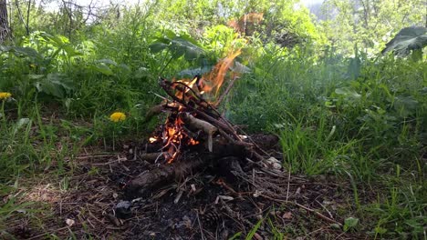 A-small-campfire-in-mountain-forest