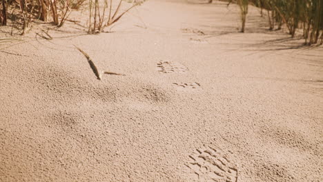 Closeup-shot-of-a-footprint-of-a-hiker-in-a-sand-dune