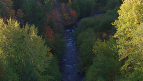 Aerial-flying-over-at-treetop-level-a-small-creek-at-sunrise-with-many-trees-beginning-to-show-Autumn-colors---part-1