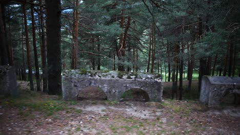 A-row-of-old-concrete-blocks-at-the-side-of-the-path