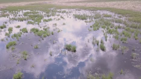 Aerial-view-of-a-shallow-prairie-pond,-with-clouds-in-reflection