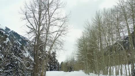 Aerial-forward-pan-up-shot-in-between-rows-of-trees-on-a-snowy-mountain
