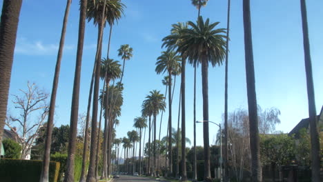 Beautiful-travelling-and-panning-shot-on-the-road-of-Los-Angeles-palm-trees-,-POV-from-a-car