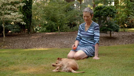 Older-woman-watching-cute-small-dog-rolling-in-the-grass,-joy,-fun