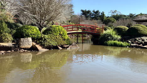 Red-bridge-over-pond,-Ju-Raku-En-Japanese-Garden,-Toowoomba,-Australia