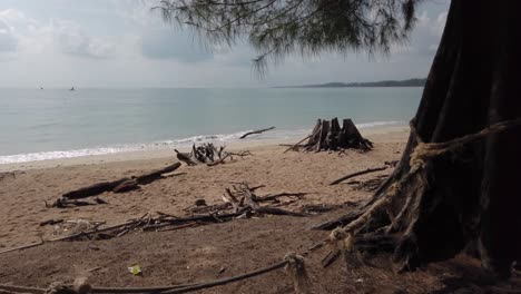 Landschaftsansicht-Des-Schmutzigen-Strandes,-Der-Sich-Zum-Himmel-Neigt,-Mit-Vielen-Seekiefern,-Phuket,-Thailand-In-4K-UHD-Video