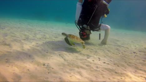 Upside-down-scuba-diver-posing-with-sea-turtle