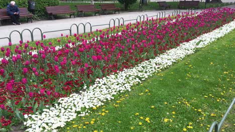 City-Park-Garden-with-Flowers