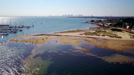 Descending-drone-footage-of-people-and-dogs-at-the-Brighton-dog-beach,-with-Melbourne-city-skyline-in-background