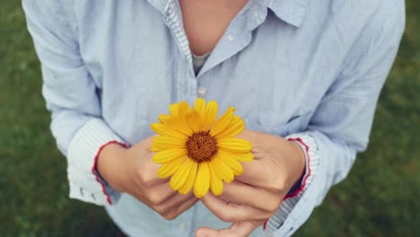 Hands-holding-yellow-flower,-close-up,-central-framing