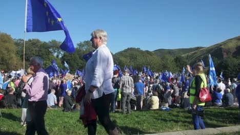 Slow-motion-of-a-man-flying-an-EU-flag-at-a-pro-EU-rally