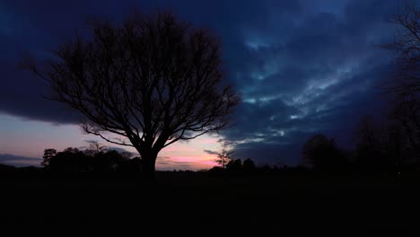 Zeitraffer-Des-Sonnenuntergangs-Mit-Baum-Im-Vordergrund