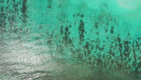 Meerwasserstruktur-Mit-Wunderschönem-Muster-Aus-Korallenriffen,-Die-Unter-Klarem-Wasser-Gedeihen-Und-Das-Sonnenlicht-An-Der-Küste-Einer-Tropischen-Insel-In-Fidschi-Reflektieren