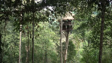 Wideshot-of-a-Large-Jungle-Treehouse-from-the-Gibbon-Experience-in-Laos