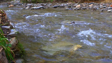 Abgesperrter-Blick-Auf-Einen-Flachen-Fluss-Mit-Wasser,-Das-über-Felsen-Fließt