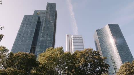 Landscape-cityscape-of-Frankfurt-central-business-are-during-daytime-with-trees-as-foreground