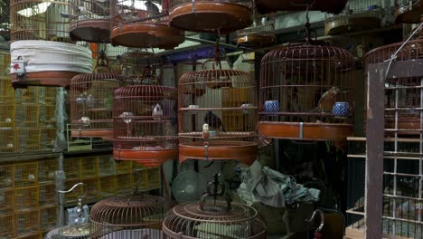 Assorted-bird-cages-for-sale-near-the-Yuen-Po-Bird-Garden-in-Mongkok,-Kowloon,-Hong-Kong