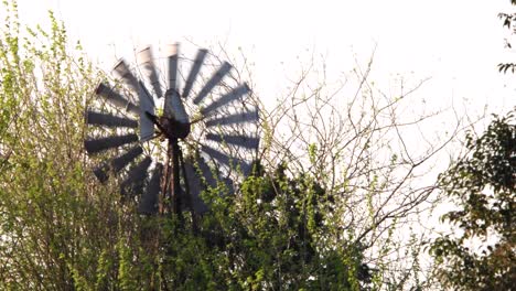 Detail-Einer-Windmühle-Durch-Die-Vegetation-Gesehen