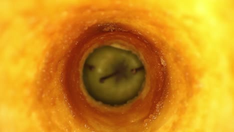 Starting-inside-the-oxidized-core-of-an-apple-where-3-other-apples-are-slightly-visible-and-then-pulling-out-of-the-core-entirely
