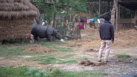 Tourists-taking-selfies-with-a-rhino-in-Chitwan-National-Park-in-Nepal