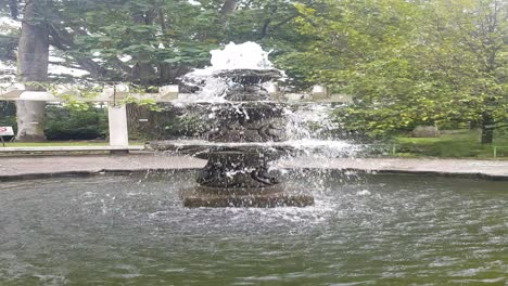 Vertical-view-of-a-fountain-located-in-the-center-of-a-garden
