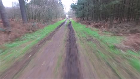 Eine-Drohne,-Die-Nur-Einen-Der-Tausenden-Von-Wäldern-Des-Vereinigten-Königreichs-Umfliegt
