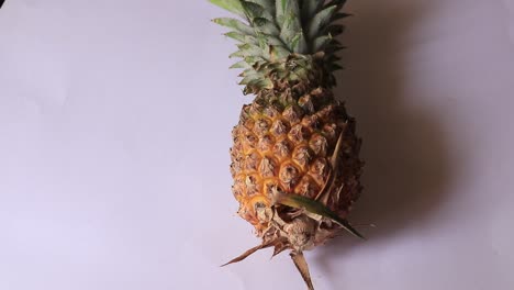 Eine-Ganze-Ananas-Vor-Weißem-Hintergrund