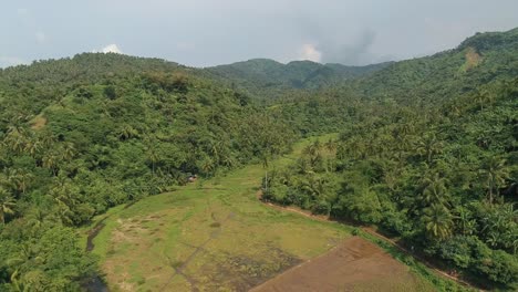 Luftdrohne-über-Abgelegenen-Reisfeldern-Und-Tropischem-Berggelände-In-Buhi-Camarines-Auf-Den-Philippinen