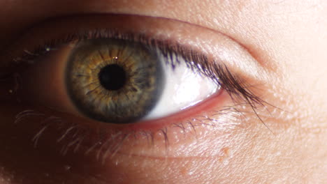 Rapid-blinking-movement-of-the-eye---Close-up-shot