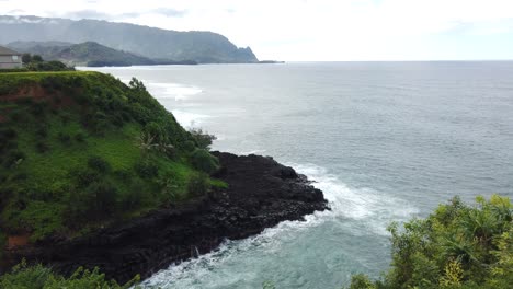 4k-Hawaii-Kauai-Kippt-Aus-Dem-Grün-Mit-Gelben-Blumen-Nach-Oben-Und-Zeigt-Wellen,-Die-An-Felsiger-Küste-Mit-Bergen-In-Der-Ferne-Schlagen