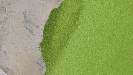 Nahaufnahme-Eines-Mannes,-Der-Grüne-Farbe-Von-Einer-Wand-Abkratzt