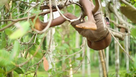 Junges-Indisches-Kind-Klettert-Auf-Äste-Eines-Baumes-Im-Dschungel-Indiens